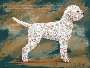 Lagotto Romagnolo Illustrated  UK Breed Standard - Body. Limited edition Print