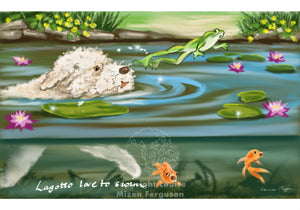 Lagotto Love to Swim - Limited Edition Print